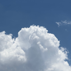 在线观看叶山小百合主演的电影
